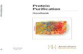 Protein Purification - University of Alberta · 2021. 8. 3. · 8 Fig.1. Yields from multi-step purifications. Preparation The need to obtain a protein, efficiently, economically