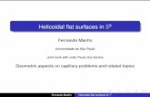 Helicoidal flat surfaces in S3 - Universidad de Granadarcamino/meetingcmc/manfio.pdfAim Classiﬁcation of helicoidal ﬂat surfaces in S3 in terms of their ﬁrst and second fundamental