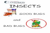 INSECTS - Texas A&M AgriLifecounties.agrilife.org/.../insects-good-bugs-and-bad-bugs.pdf · 2017. 12. 4. · BAD BUGS will reduce the quality or quantity of vegetables produced and