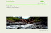 Wildholz - Interpraevent · 2011. 4. 4. · Grundlage dieses Handbuchs ist der Projektbericht „Präventive Strategien für das Wildholzrisiko in Wildbächen“ (Hübl J. et al.,