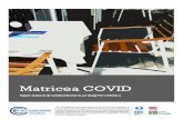 Matricea COVID · Matricea COVID: măsurile de politici economice și fiscale susținute de mediul de afaceri ... Pierderile economice au rezultat din scăderea volumului vânzărilor