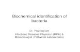 Biochemical identifcation of bacteria - KSU..." Bacteria that ferment glucose: E.coli Klebsiella Nitrate" Detects nitrate reductase enzyme which converts nitrate to nitrite." Nitrite