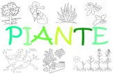 PIANTE - LUMSA piante.pdf · 2015. 12. 4. · Una struttura simile la possiamo ancora ritrovare nelle alghe pluricellulari. Le prime grandi tappe nell’evoluzione delle piante terrestri