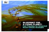 BLUEPRINT FOR A LIVING PLANET · 2021. 6. 7. · 4 blueprint for a living planet four principles for integrated ocean-climate strategies 5 “you cannot protect. the oceans without.