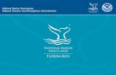Marine Zoning & Regulatory Review - .NET Framework...• Florida Sportfishing • Florida Sportsman • Diver • Sports Diver • Diver Wire • Hernando Today • Marco Island Eagle
