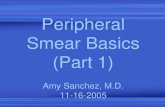 Peripheral Smear Basics (Part 1) - HemePathRevie · 2005. 11. 16. · Pathologic Red Blood Cells in Peripheral Blood Smears Type of Cell Underlying Change Disease States Acanthocyte