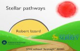Stellar pathways - Eventsforce · Stellar pathways, STFC “Armagh” 2021 – Robert Izzard – University of Surrey 2 Stellar pathways: contents Stellar structure and evolution