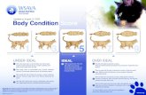 Updated on August 13, 2020 Body Condition Score - WSAVA...Slight rounding of abdomen may be present. Moderate abdominal fat pad. Ribs not felt due to excess fat covering. Waist absent.