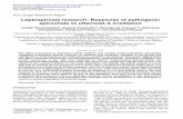 Leptospirosis research: Response of pathogenic spirochete to ......Quantitative analysis by UV-VIS spectroscopy (97 kDa), bovine serum albumin (66 kDa), hen egg-wh An UV-VIS spectrometer
