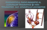 OSTEO-ARTICULAR SYSTEM Structura osoasă · 2019. 3. 4. · Anatomia radiologică a scheletului Sistemului musculo-scheletic al corpului uman este alcătuit din : - Scheletul osteocartilaginos