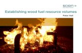 Establishing wood fuel resource volumes · 2020. 3. 22. · SNI 93,735 88,261 261,052 118,558 53,383 50,656 Nelson ... South Taranaki 3,618 8,024 18,602 7,407 1,309 Wanganui 12,142