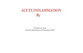 ACUTE INFLAMMATION By - Kor Academykoracademy.com/sites/default/files/inline-files/Acute... · 2021. 3. 31. · Cardinal Clinical Signs of Acute Inflammation Acute inflammation has
