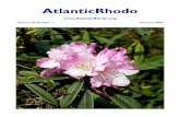 AtlanticRhodoatlanticrhodo.org/wp-content/uploads/2018/04/Feb06ARS.pdf · 2018. 4. 8. · 027 BRU mucronulatum - semi-dwarf white, isolated 028 SHA mucronulatum v. chejuense - true