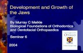 Development and Growth of the Jaws...Development of the mandible Right side of the human mandible at the 19 mm C–R stage. An ossification centre has appeared at the bifurcation of