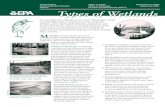 Types of Wetlands - US EPA · 2021. 6. 25. · In Search of Swampland: A Wetland Sourcebook and Field Guide. R.W. Tiner, 1998. Rutgers University Press, Piscataway, NJ. Adopting a