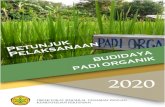 Draft Petunjuk Pelaksanaan Budidaya Padi Organik Tahun 2020 · 2021. 8. 13. · Draft Petunjuk Pelaksanaan Budidaya Padi Organik Tahun 2020 pertanian organiknya sudah berkembang dan