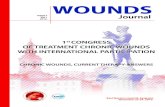WOUNDS · 2018. 9. 19. · 6 Microbiology of chronic wounds: the role of systemic antimicrobials in the treatment Brkić S. 6 Dermo-epidermal skin substitute Elia Ricci 7 Neurological