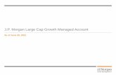Presentation: Large Cap Growth Strategy...Strategy overview 5 J.P. Morgan Large Cap Growth Managed Account as of June 30, 2021 Expertise Seasoned portfolio management team focused