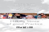 Making Sense of good Practice - VBJK