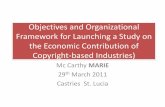 Objectives and Organizational Framework for Launching a ...