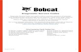 Diagnostic Service Codes - assets.bobcat.com
