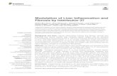 Modulation of Liver Inflammation and Fibrosis by ...