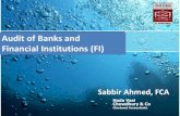 Audit of Banks and Financial Institutions (FI)