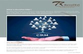 What is RevolTel CRM