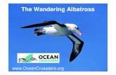 The Wandering Albatross - Ocean Crusaders