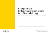 Capital Management in Banking - CFO