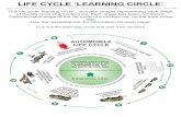 LIFE CYCLE ‘LEARNING CIRCLE’