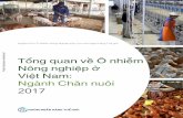 Tổng quan về Ô nhiễm Nông nghiệp ở Việt Nam: Ngành Chăn nuôi