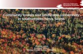 Community forests and landscape connectivity in ...