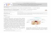 Case Report Nonsurgical management of a large periapical ...