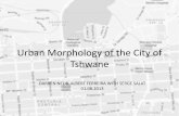 Urban Morphology of the City of Tshwane