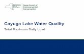Cayuga Lake Water Quality