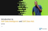 Introduction to SAP Data Intelligence and SAP Data Hub