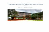 Internship Report On Human Resource Information System