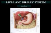 LIVER AND BILIARY SYSTEM - Semmelweis