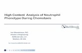High Content Analysis of Neutrophil Phenotype During ...