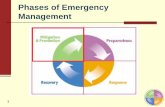 Phases of Emergency Management - WPMU DEV