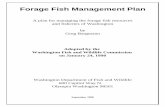 WDFW Forage Fish Management Plan