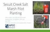 Sesuit Creek Salt Marsh Pilot Planting - UMass