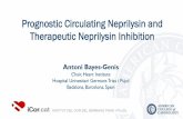 Prognostic Circulating Neprilysin and Therapeutic ...