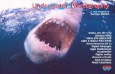 Underwater Photography - SENSACIONES