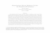 Expectations Driven Business Cycles: An Empirical Evaluation