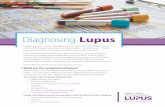 Lupus Foundation - Diagnosing Lupus NO BLEED