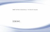 IBM SPSS Statistics 19 Brief Guide - University of Sussex