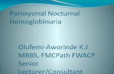 Paroxysmal Nocturnal Hemoglobinuria - Bowen University
