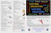 Tsunamis NATURAL DISASTERS NATURAL DISASTERS